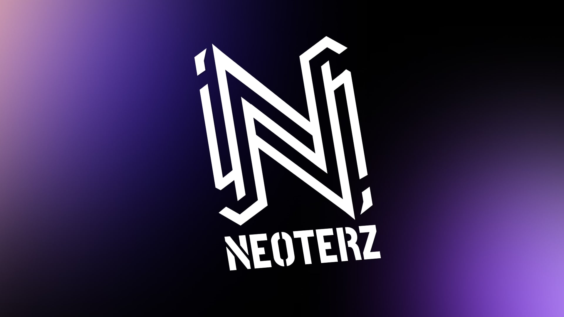 Netoerz logoproject image
